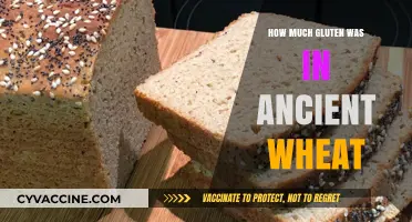 Unraveling the Gluten Mystery: Ancient Wheat's Hidden Secrets