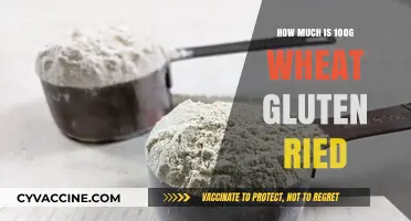 Exploring the Cost of 100g Wheat Gluten: A Comprehensive Guide