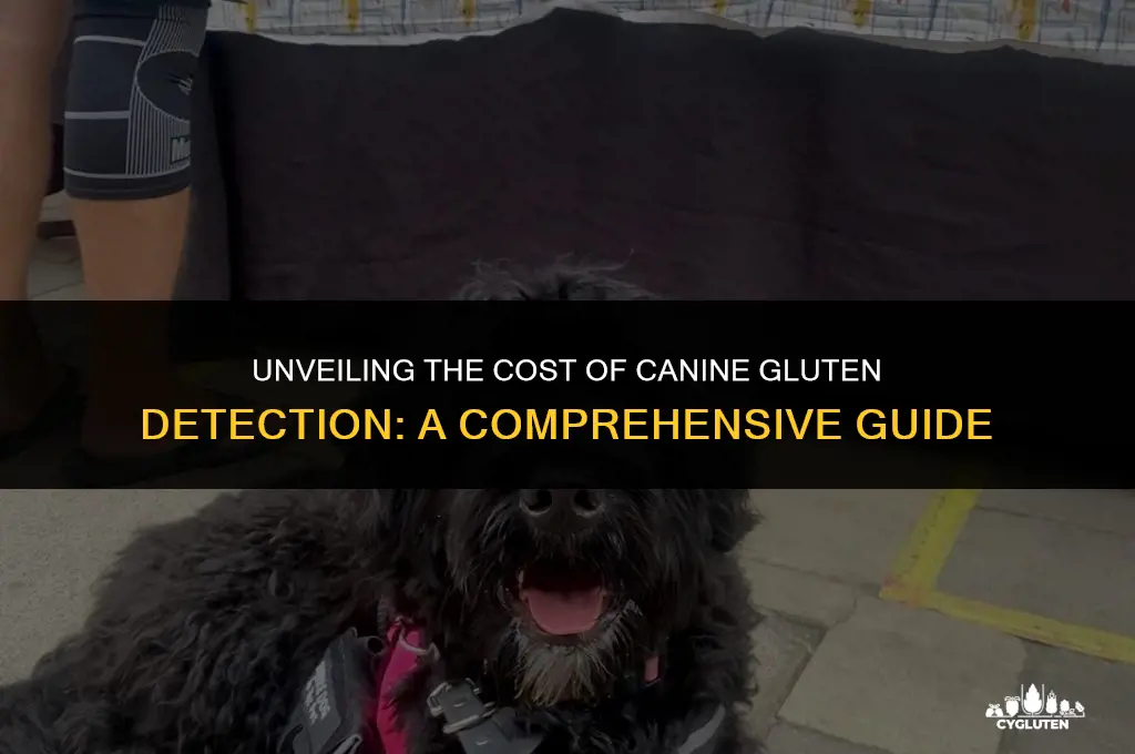 how much is a gluten detection dog