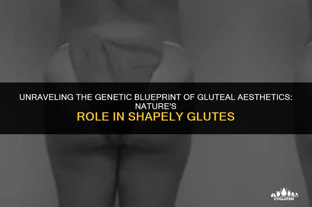 how much is having good gluts genetics