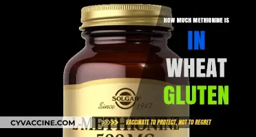Unlocking Nutrition: Methionine Content in Wheat Gluten Revealed