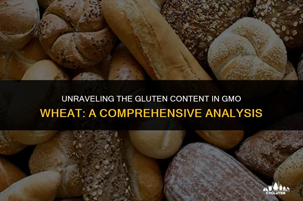how much more gluten is in gmo wheat