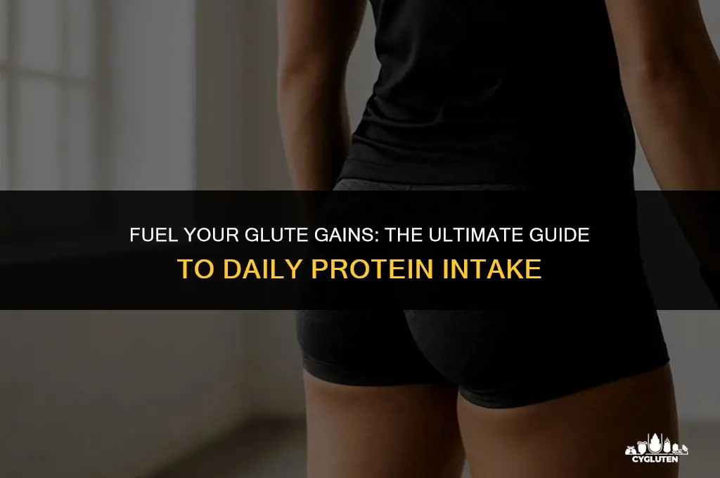 how much protein a day to build glutes