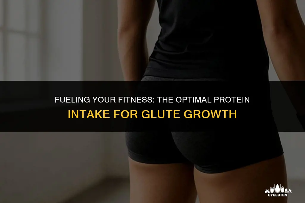 how much protein do i need for glute growth