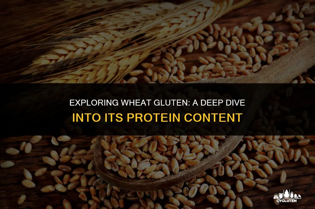 how much protein does wheat gluten have