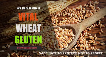 Unlocking Nutrition: Vital Wheat Gluten's Protein Power Explained