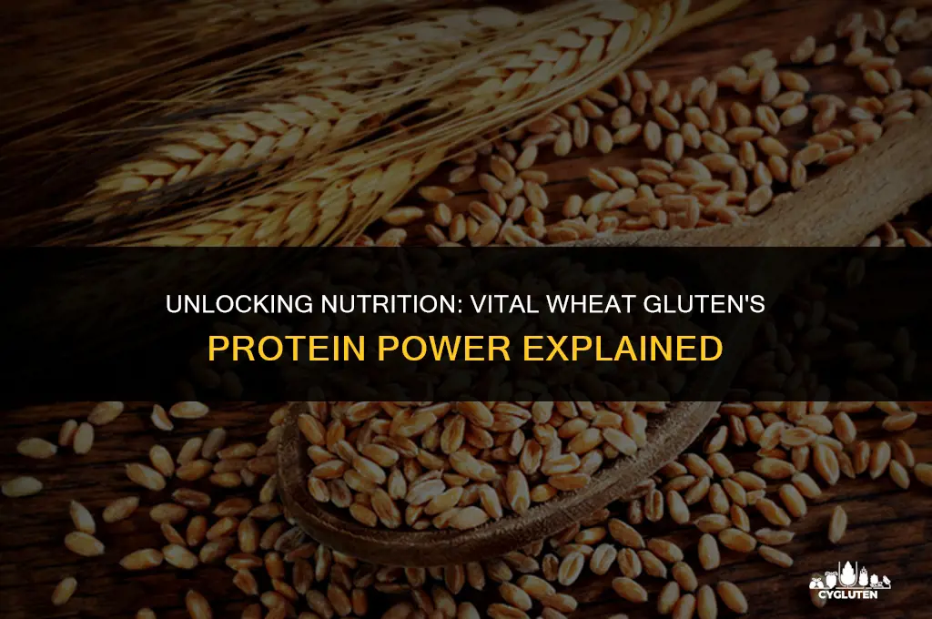 how much protein in vital wheat gluten