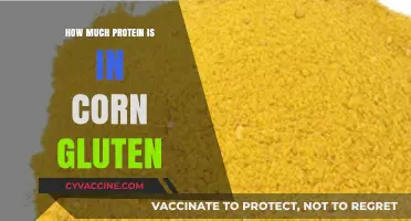 Unlocking Nutrition: The Surprising Protein Content in Corn Gluten