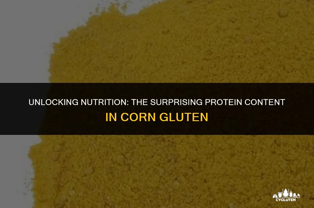 how much protein is in corn gluten