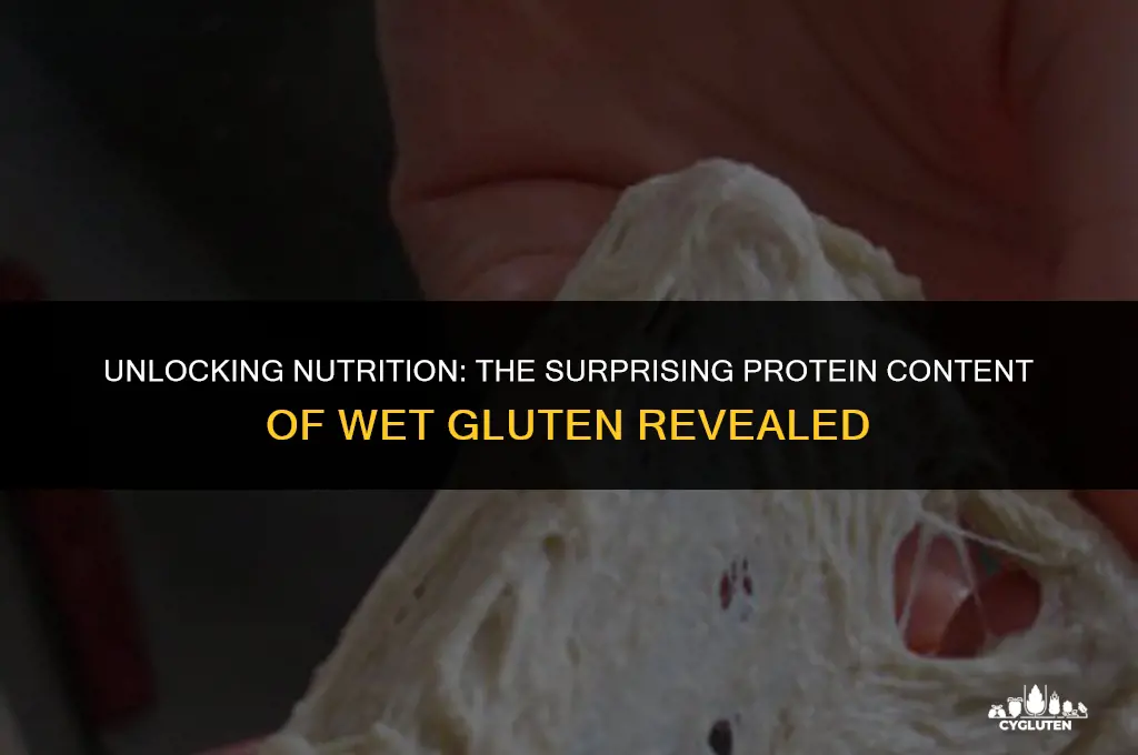 how much protein is in wet gluten