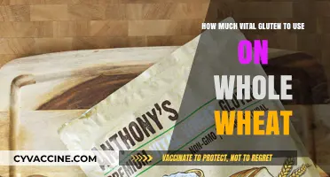 Unlocking the Perfect Texture: Vital Gluten in Whole Wheat Baking
