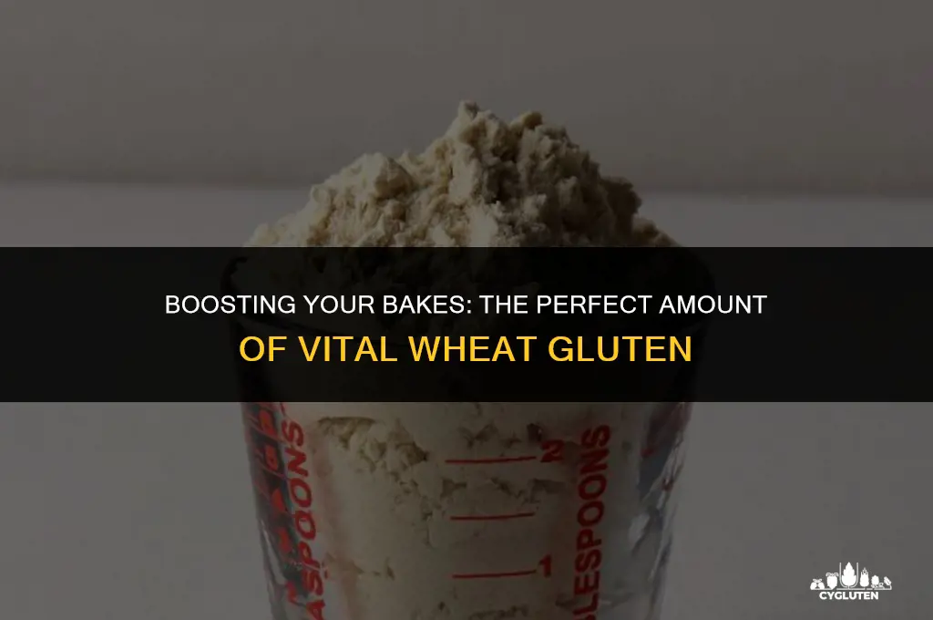 how much vital wheat gluten to add to all purpose