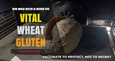 Unlocking the Secrets of Vital Wheat Gluten: A Water Guide