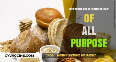 Exploring Wheat Gluten Content in All-Purpose Flour