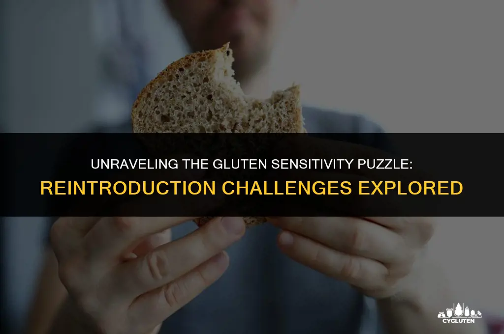 how much worse is gluten sensitivity reintroducing