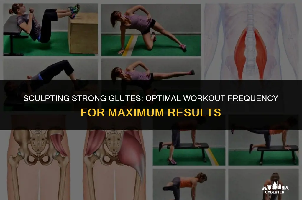 how often should i do glute workouts