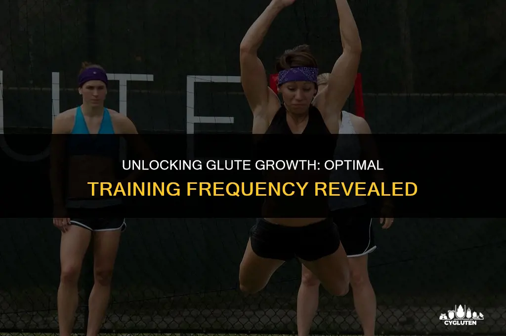 how often should you train glutes to grow them