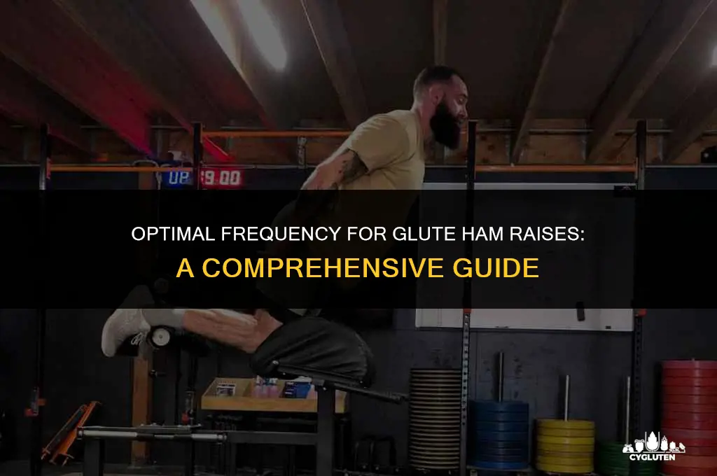 how often to do glute ham raise