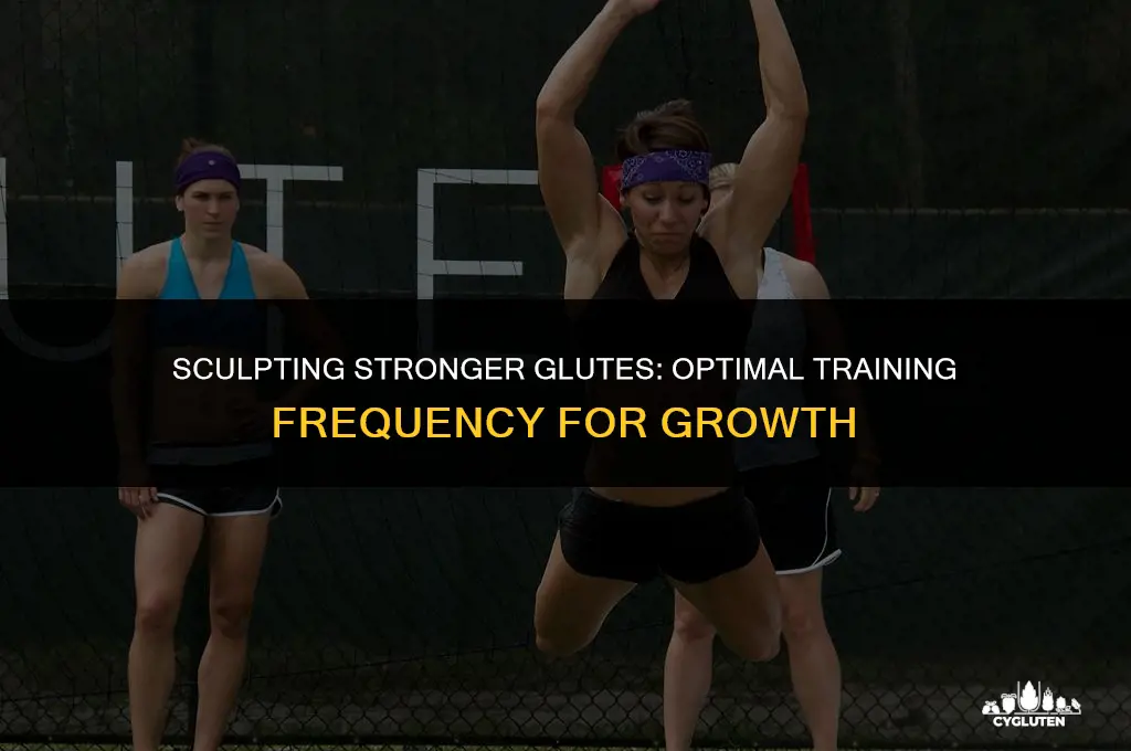 how often train glutes to increase size