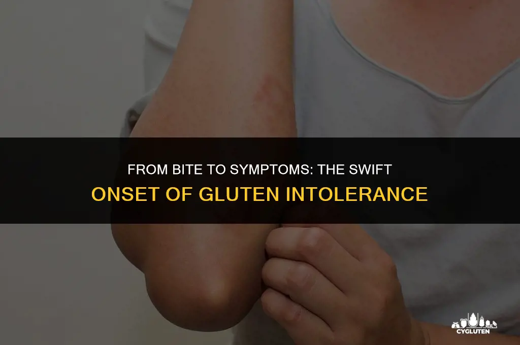 how quickly do symptoms of gluten intolerance appear