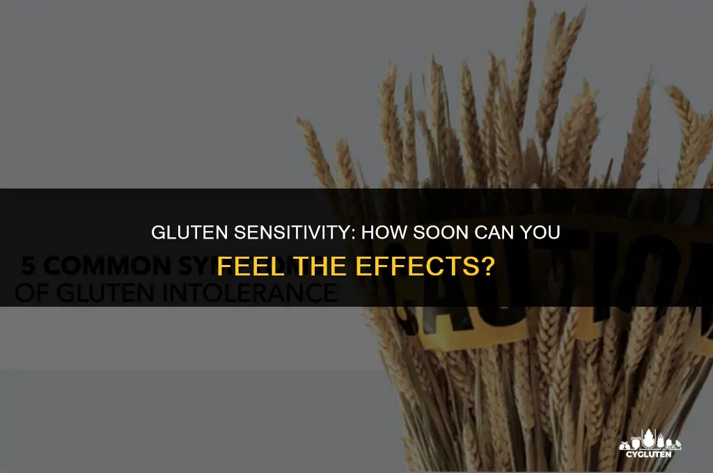 how quickly do you feel effects of gluten