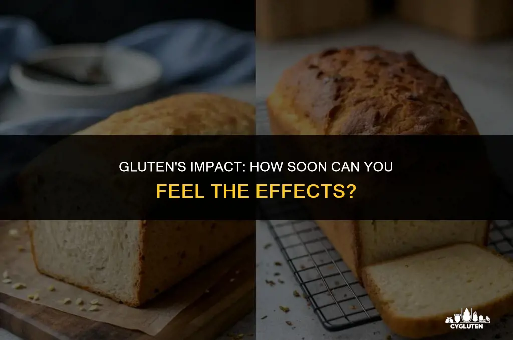 how quickly does eating gluten affect you