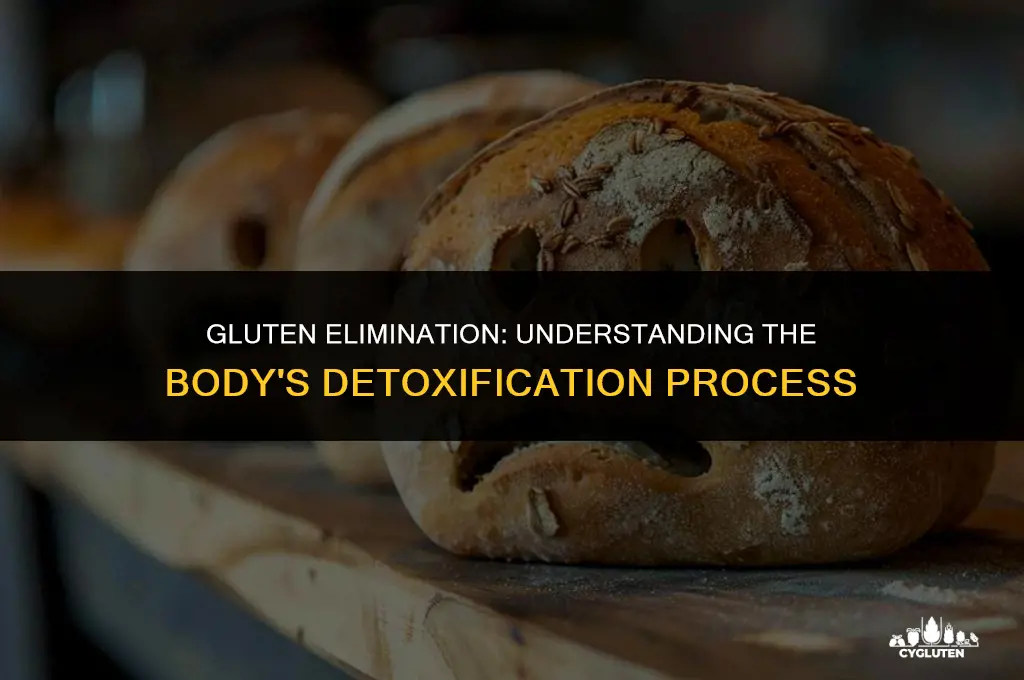 how quickly does gluten leave the body