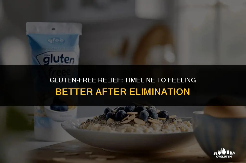 how soon after stopping gluten will i feel better