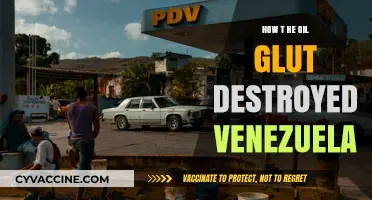 The Devastating Impact of Oil Glut on Venezuela's Economy