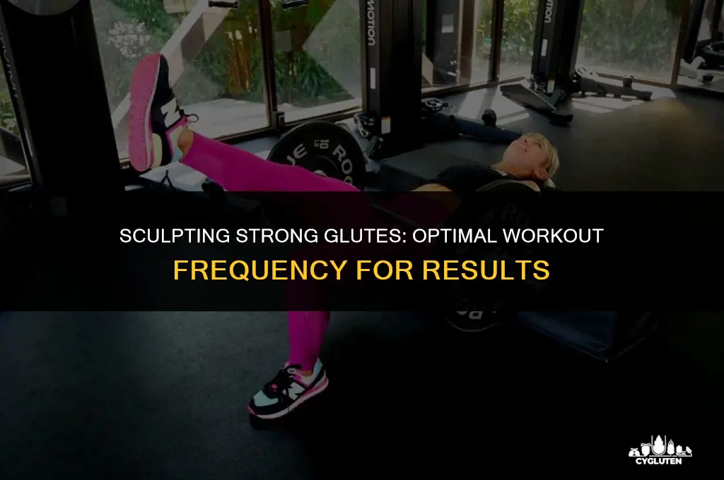 how t often to work out glutes