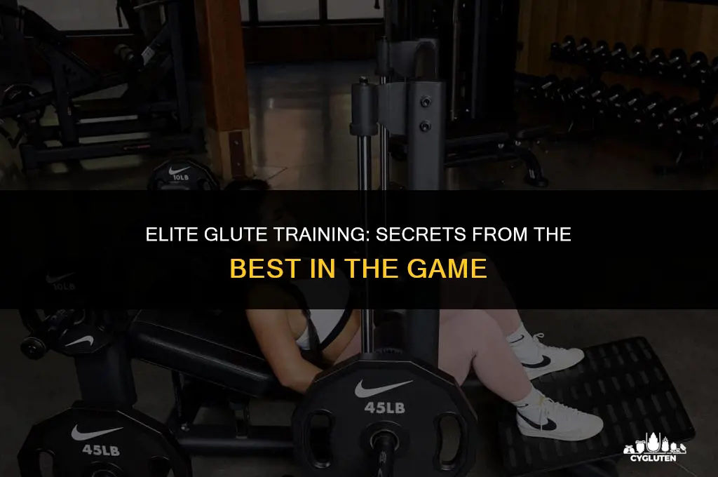 how the best of the best train their glutes