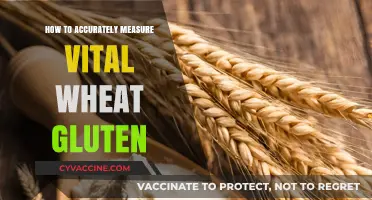 Mastering the Art of Vital Wheat Gluten Measurement