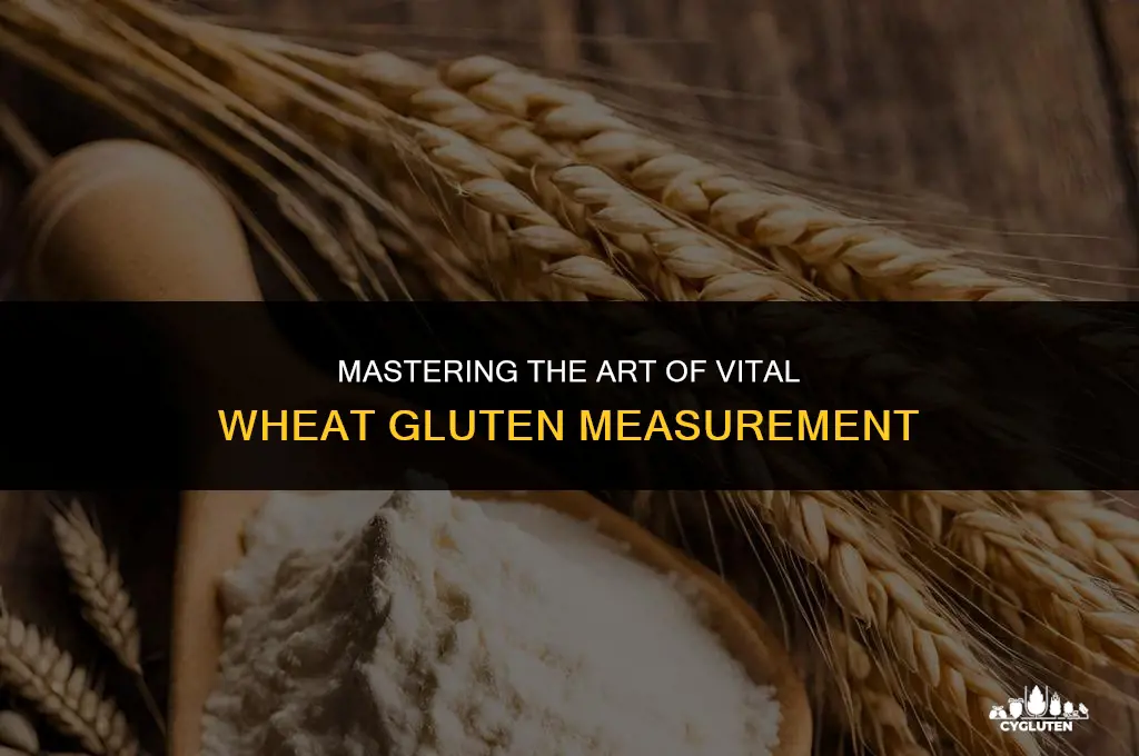 how to accurately measure vital wheat gluten