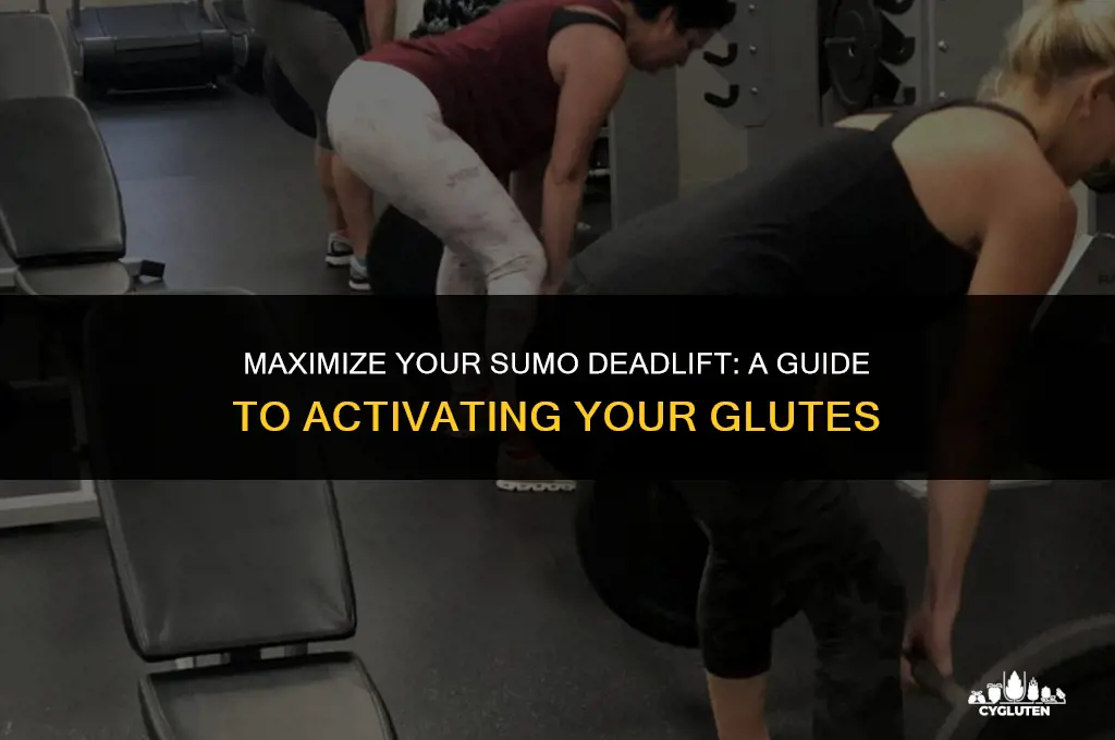 how to activate glutes during the sumo deadlift