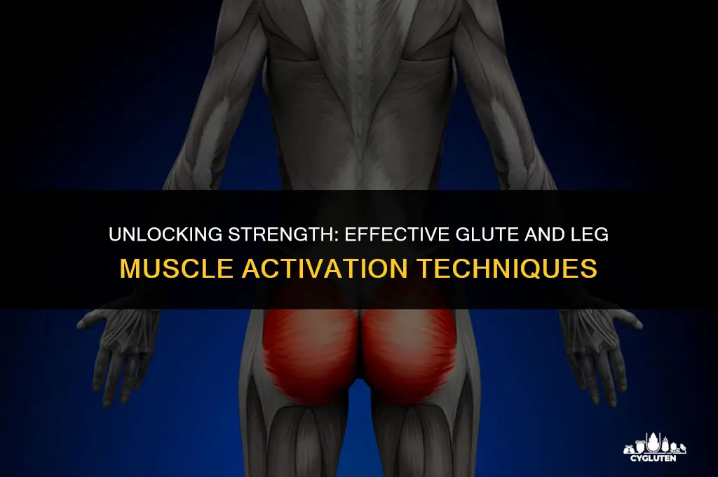 how to activate the glute and leg muscles effectively