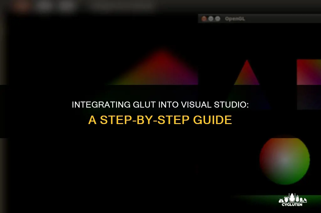 how to add glut in visual studio