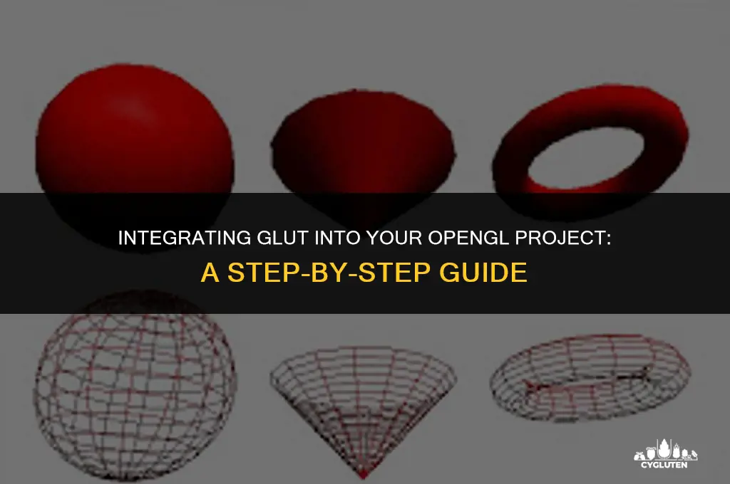 how to add glut to opengl project