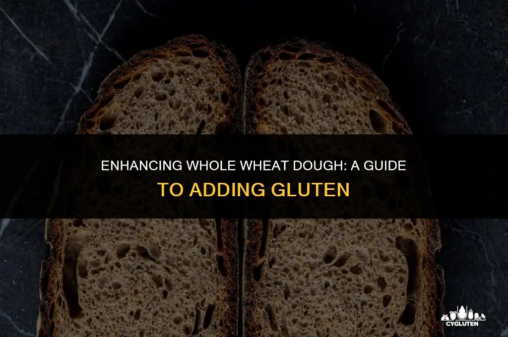 how to add gluten to whole wheat dough
