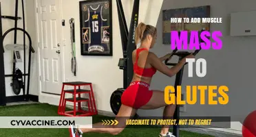Sculpting Strong Glutes: A Guide to Building Muscle Mass