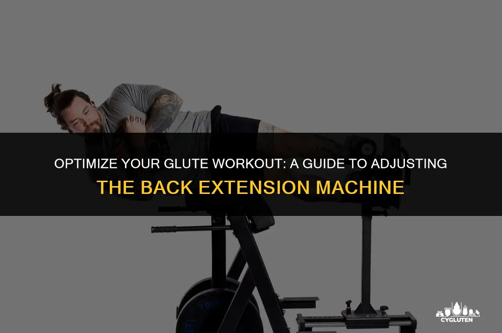 how to adjust back extension machine for glutes