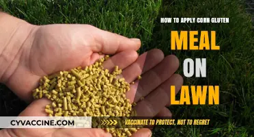 Revitalize Your Lawn: The Ultimate Guide to Applying Corn Gluten Meal