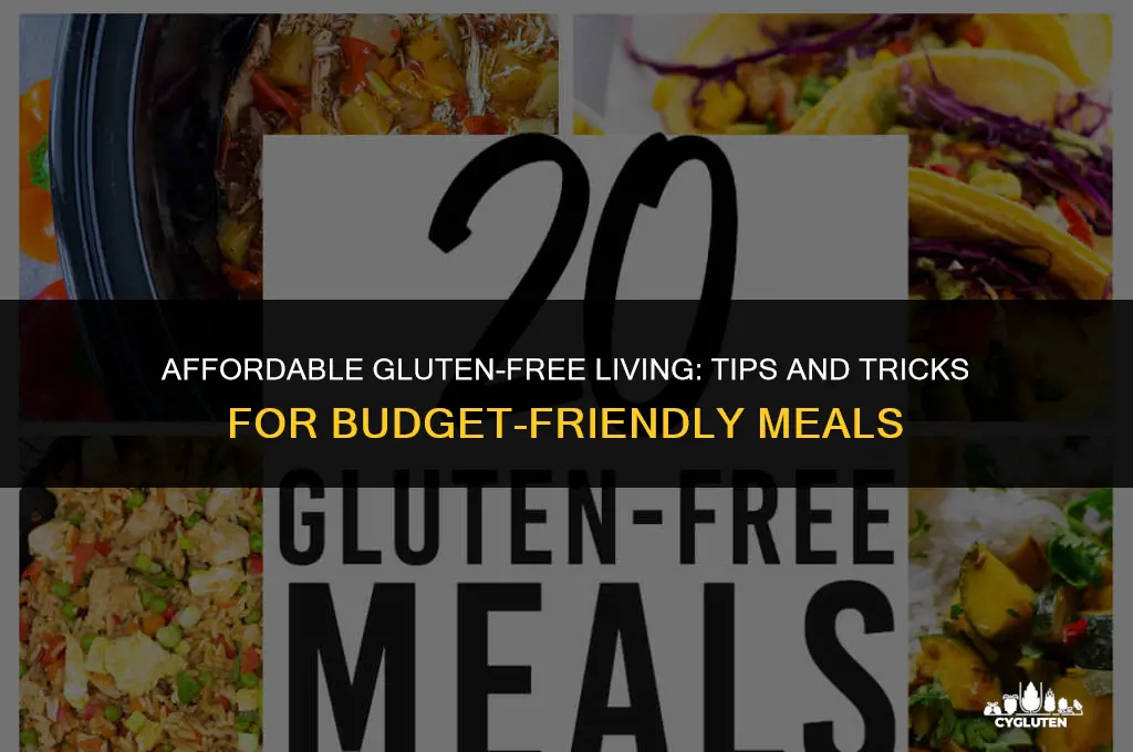 how to be gluten freenon a budget