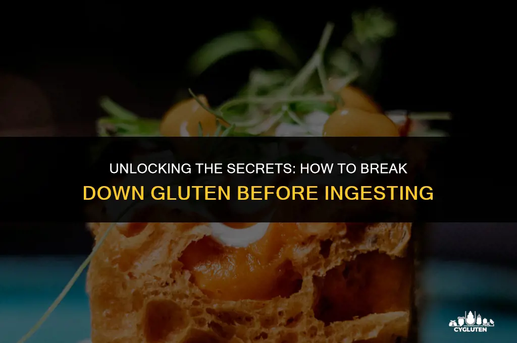 how to break down gluten before ingesting