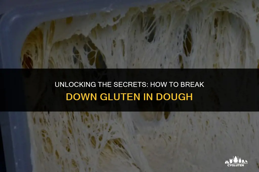 how to break down gluten in dough