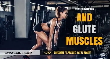 Strengthening Your Lower Body: A Guide to Building Leg and Glute Muscles