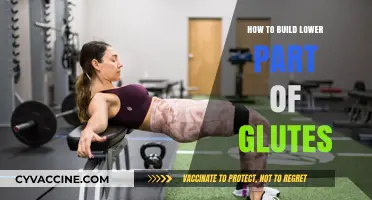 Sculpting Stronger Glutes: A Guide to Building Your Lower Backside