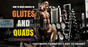 Sculpting Strength: A Guide to Building Powerful Glutes and Quads