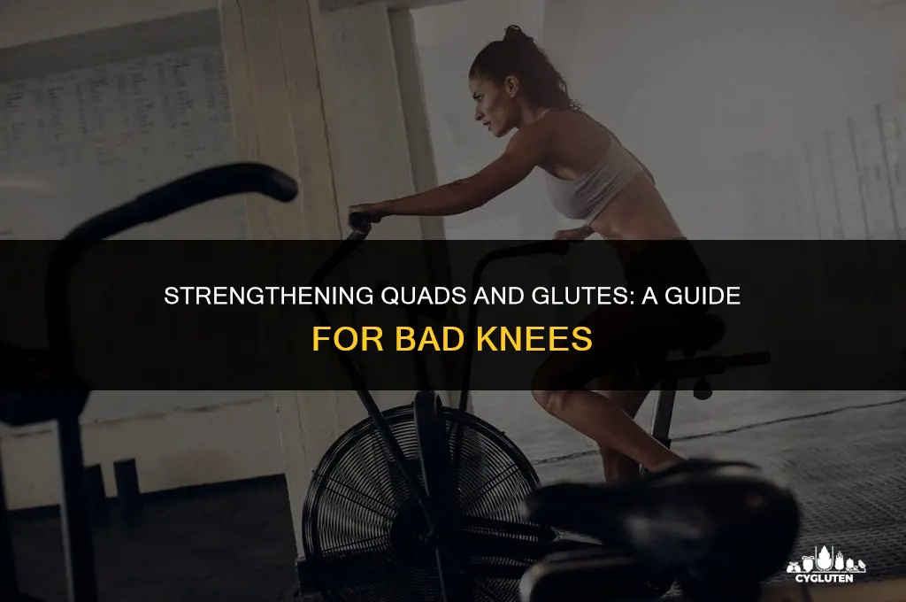 how to build quads and glutes with bad knees