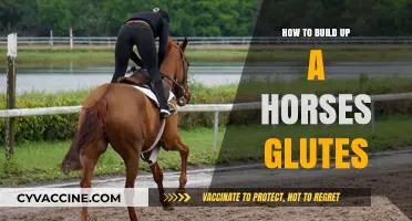 Strengthening Your Horse's Hindquarters: A Comprehensive Guide