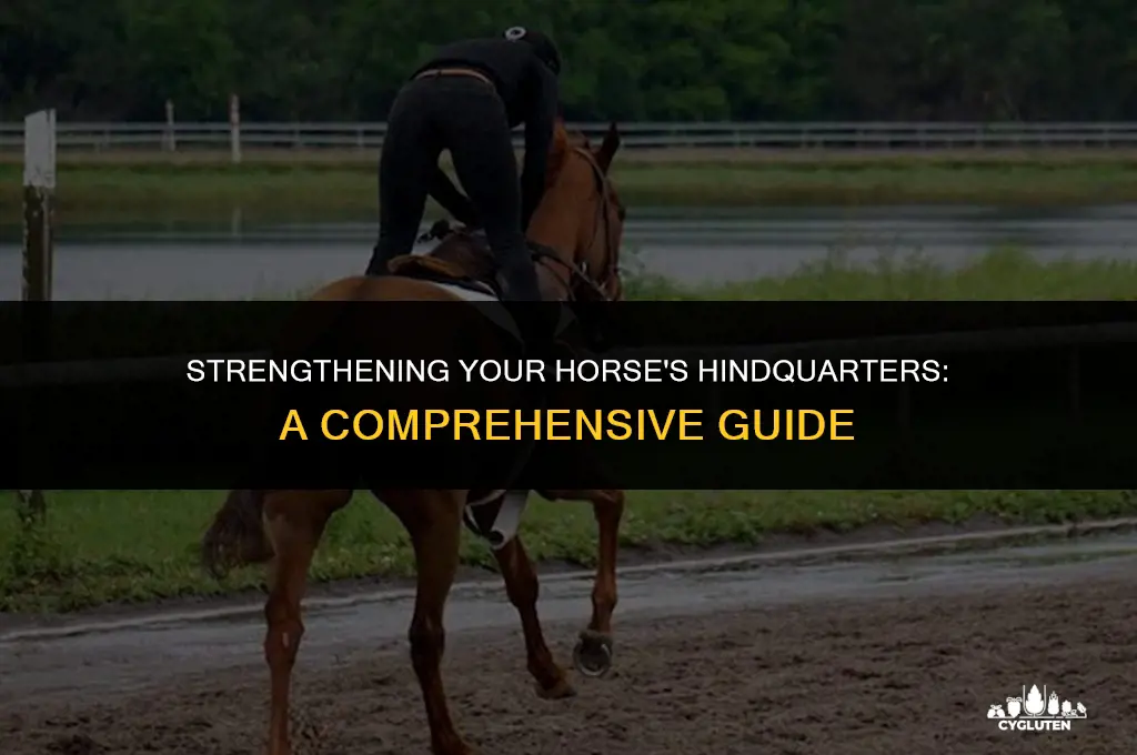 how to build up a horses glutes